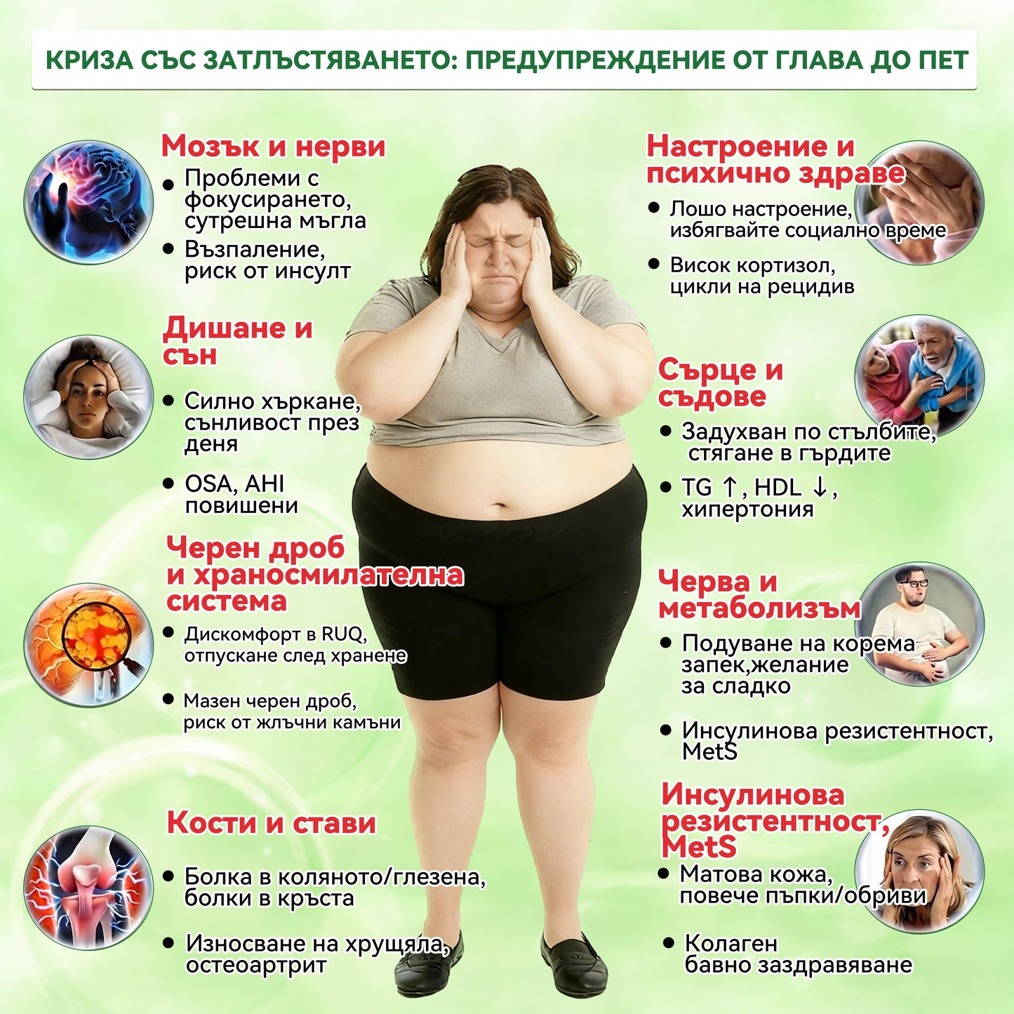 【Последен ден на промоция – 90% ОТСТЪПКА】🐮🐮𝐅𝐥𝐨𝐫𝐢𝐬𝐦𝐚® Моринга 𝐗 Берберин 𝟏𝟎-𝐈𝐧-𝟏 Напреднал Нано Микроигли Пластир